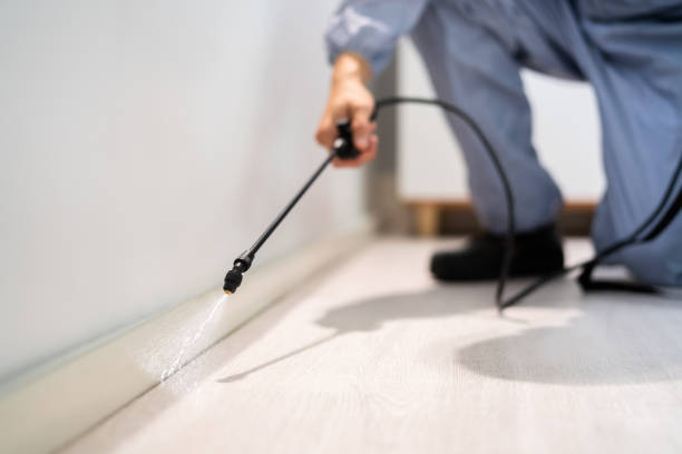Licensed Pest Control service in Little Cypress, TX - Show Me Pest Control