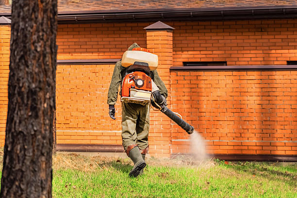 Bed Bug Clearance Verification and Documentation in Little Cypress